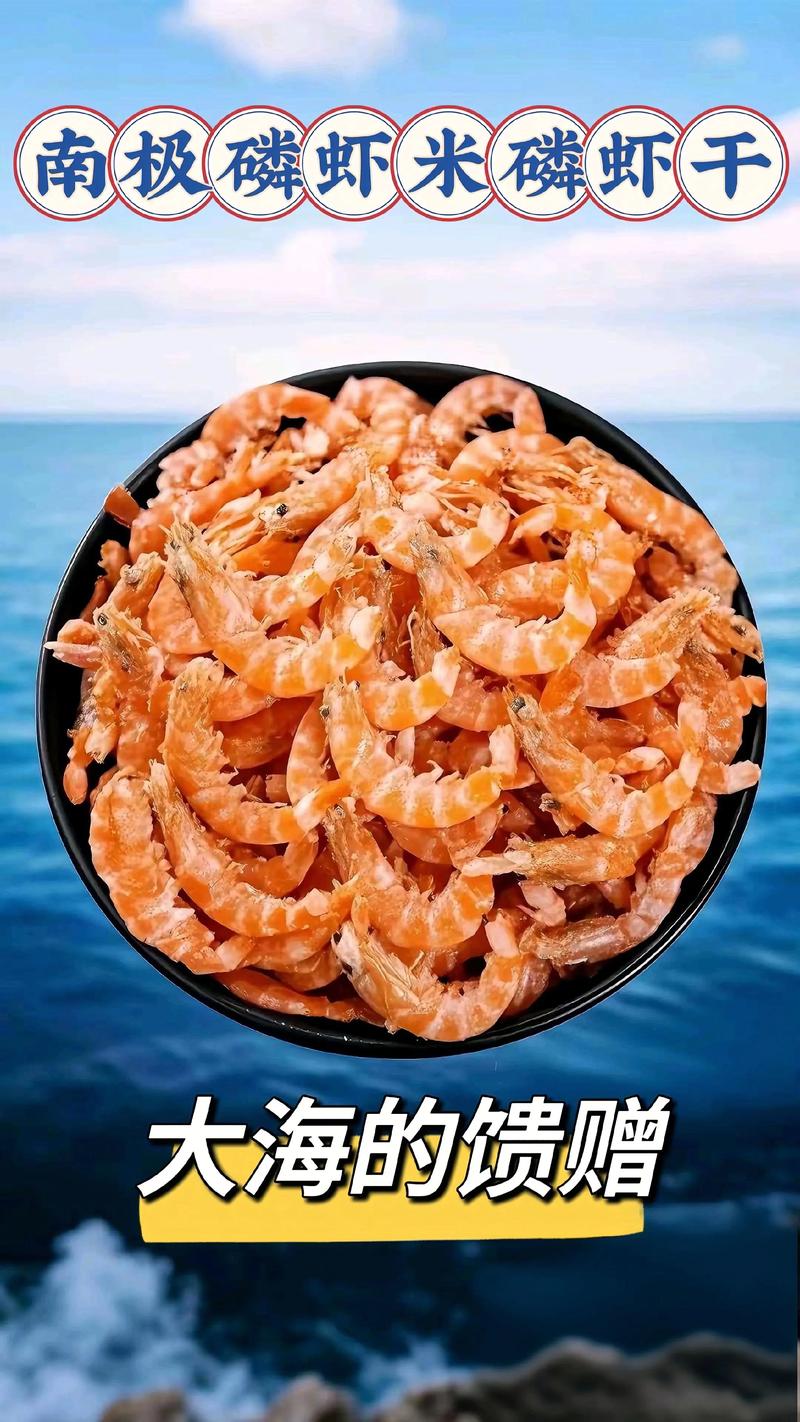 厦门虾米批发